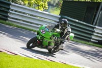 brands-hatch-photographs;brands-no-limits-trackday;cadwell-trackday-photographs;enduro-digital-images;event-digital-images;eventdigitalimages;no-limits-trackdays;peter-wileman-photography;racing-digital-images;trackday-digital-images;trackday-photos